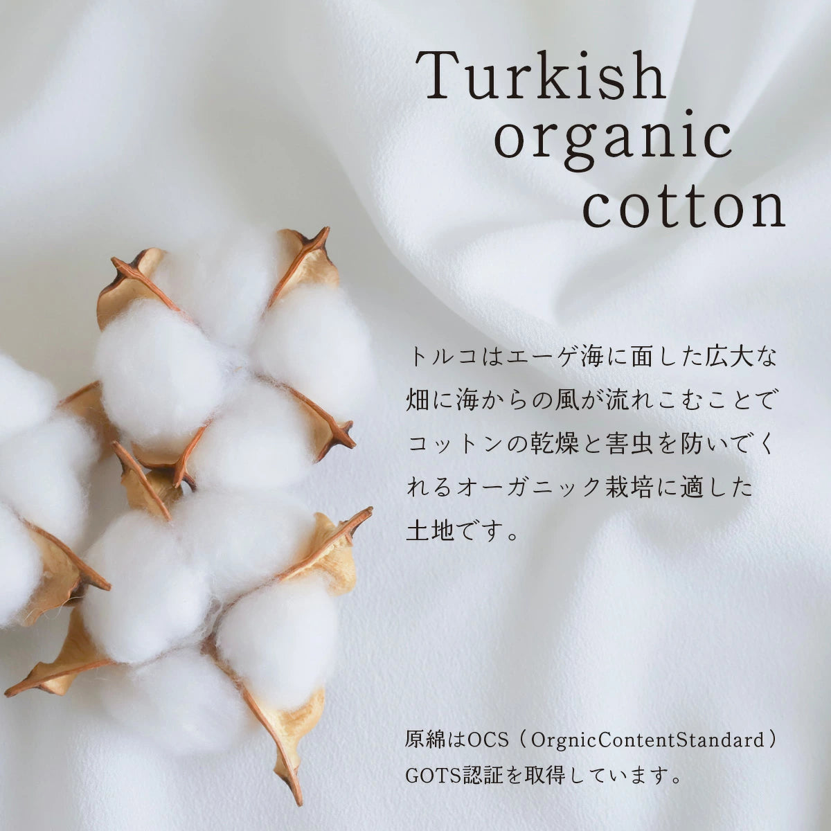 トルコ オーガニックコットン100% クッションカバー 30cm､35cm､40cm､45cm､50cm､60cm 3色 北欧 日本製 綿100％ 肌触りの良いバックサテン生地 ナチュラルカラー 丁寧な縫製