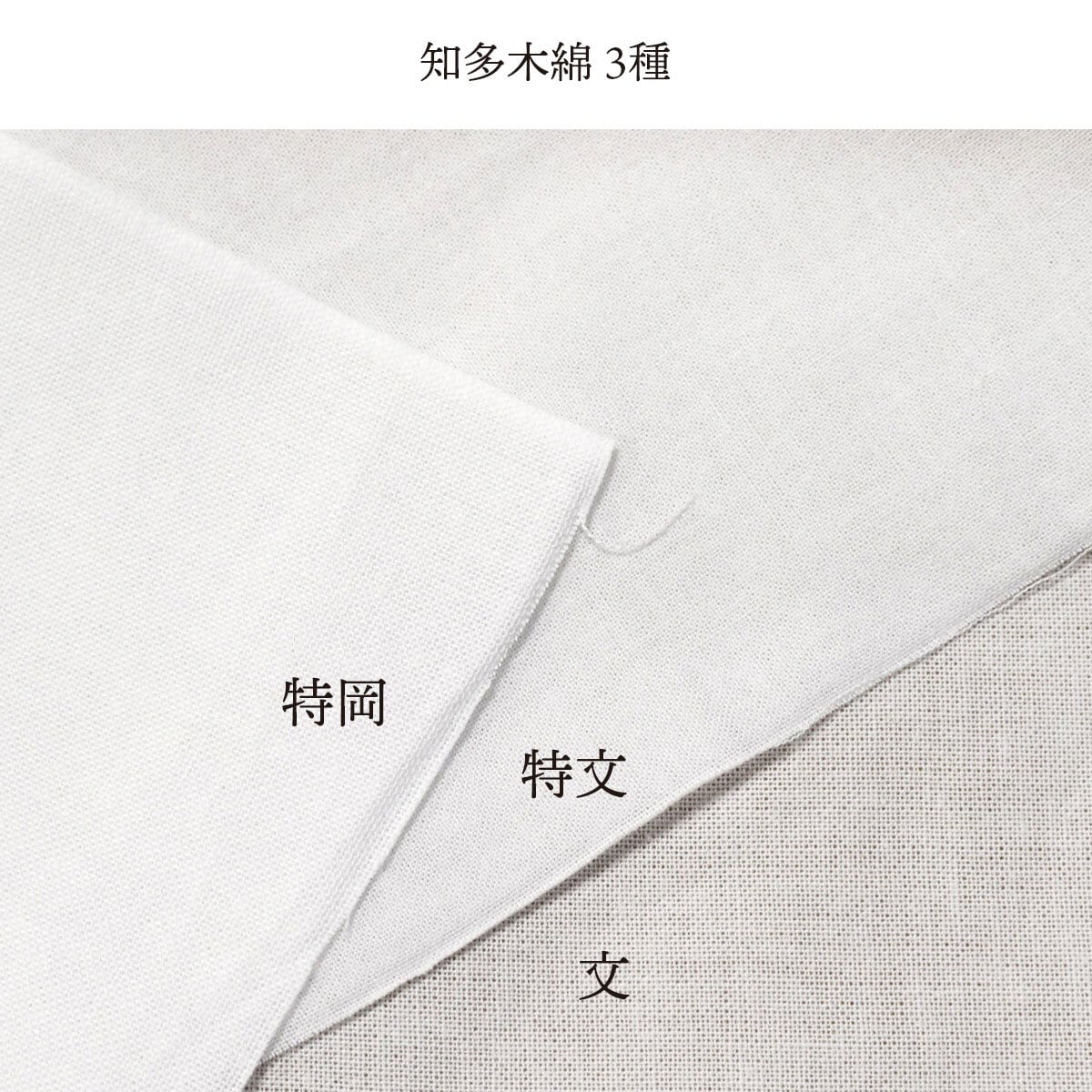和晒 知多木綿 特岡 37cm×12m 日本製 高級さらし 糸番手30 細目の糸で目の詰まりが細かい 5反セット割 浴衣 料理 和装 肌着
